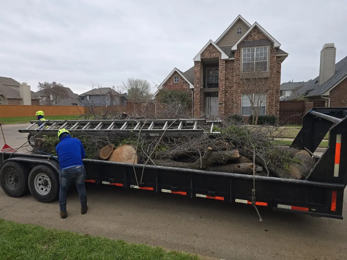 Expert Tree Fertilization with proper safety equipment in East Springfield